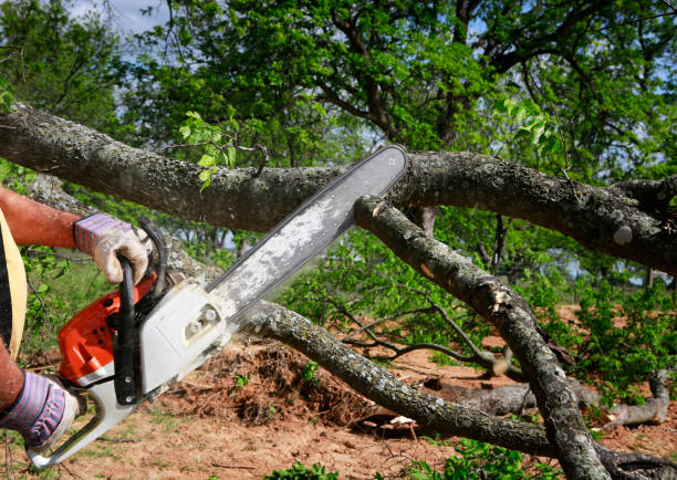 Lawn Watering Services in Glassboro, NJ